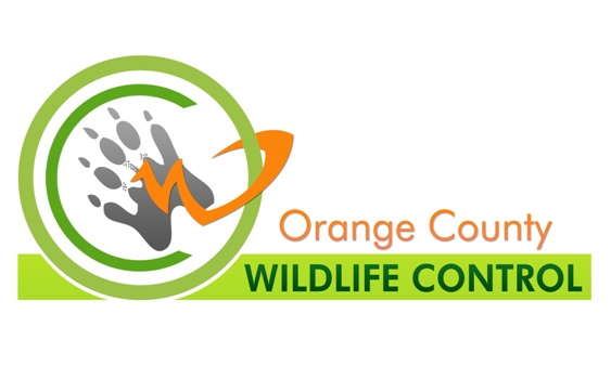 Orange County Wildlife logo
