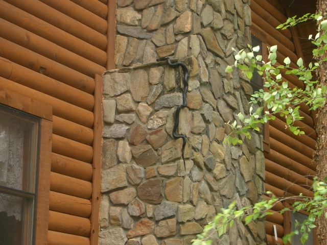 snake climbing chimney