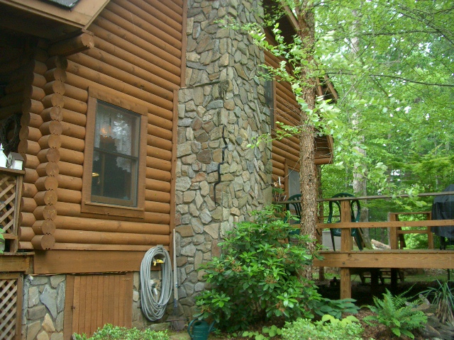 snake climbing rock chimney