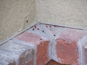 bat droppings on wall