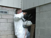 Allstate Animal Control offers hazardous material cleanup