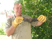 Allstate Animal Control, bat removal