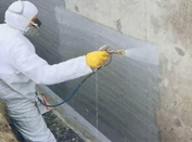 Allstate Animal Control exterminator sparying