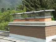 Allstate Animal Control chimney caps keep animals out