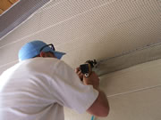 Allstate Animal Control tech installing bird netting