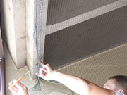Allstate Animal Control tech installing bird netting
