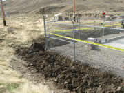 Allstate Animal Control offers underground fencing