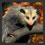 opossum