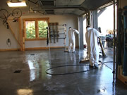 Allstate Animal Control photo scrub down garage for Hauta Virus